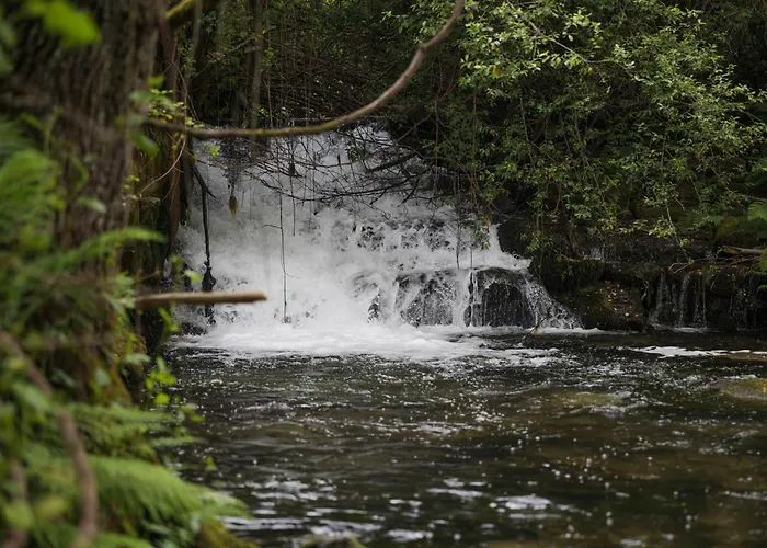 Quinta Da Fenteira - Casa Lima *