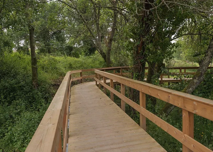 Quinta Da Fenteira - Casa Lima *